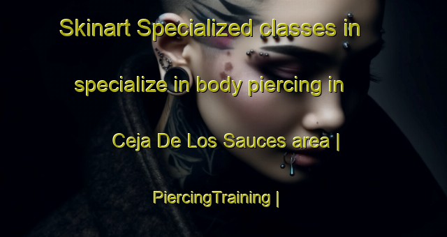 Skinart Specialized classes in specialize in body piercing in Ceja De Los Sauces area | PiercingTraining | PiercingClasses | SkinartTraining-Mexico